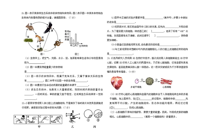 内蒙古鄂尔多斯市部分中学2021-2022学年七年级上学期期中限时训练生物【试卷+答案】03