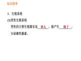人教版七年级下册生物 第1章 4.1.2 人的生殖 习题课件