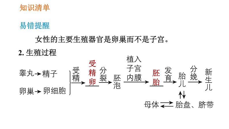 人教版七年级下册生物 第1章 4.1.2 人的生殖 习题课件04