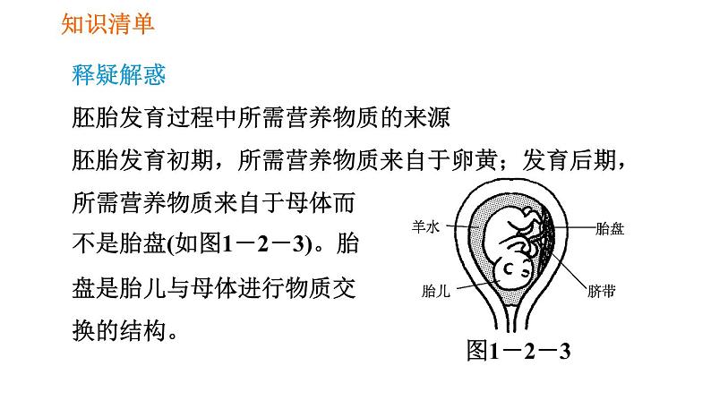 人教版七年级下册生物 第1章 4.1.2 人的生殖 习题课件06