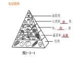 人教版七年级下册生物 第2章 4.2.3 合理营养与食品安全 习题课件