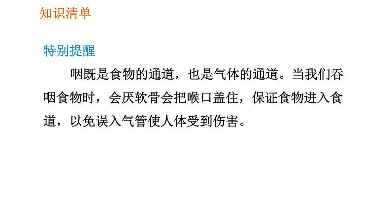 人教版七年级下册生物 第3章 4.3.1 呼吸道对空气的处理 习题课件第4页