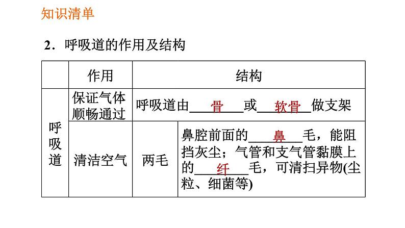 人教版七年级下册生物 第3章 4.3.1 呼吸道对空气的处理 习题课件第5页