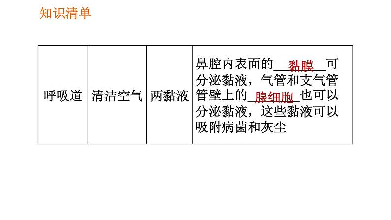 人教版七年级下册生物 第3章 4.3.1 呼吸道对空气的处理 习题课件第6页