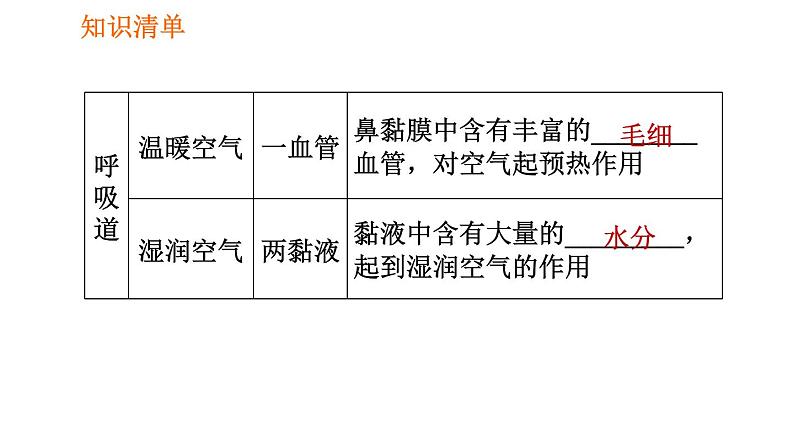 人教版七年级下册生物 第3章 4.3.1 呼吸道对空气的处理 习题课件第7页