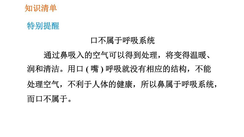 人教版七年级下册生物 第3章 4.3.1 呼吸道对空气的处理 习题课件第8页