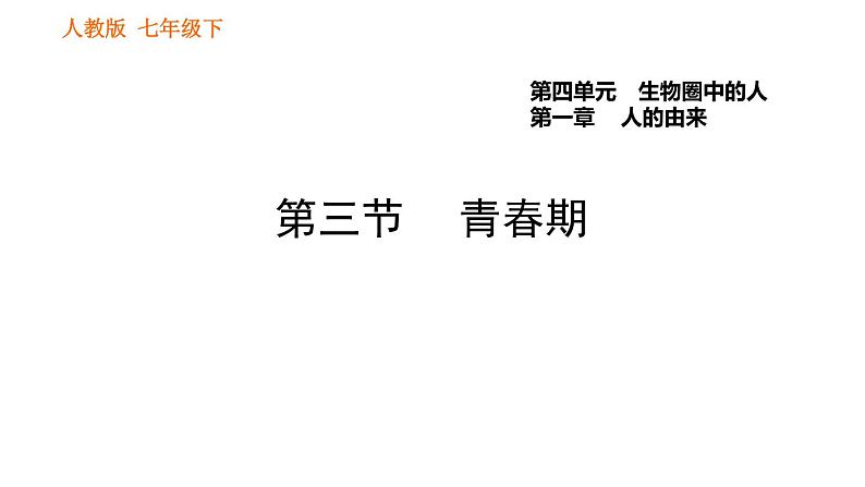 人教版七年级下册生物 第1章 4.1.3 青春期 习题课件01