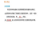 人教版七年级下册生物 第1章 4.1.3 青春期 习题课件