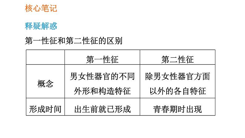 人教版七年级下册生物 第1章 4.1.3 青春期 习题课件06