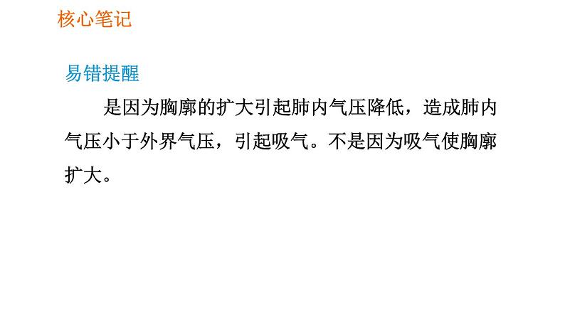 人教版七年级下册生物 第3章 4.3.2 发生在肺内的气体交换 习题课件03