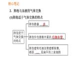 人教版七年级下册生物 第3章 4.3.2 发生在肺内的气体交换 习题课件