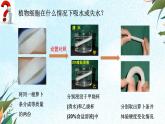 第三节 吸收作用课件PPT