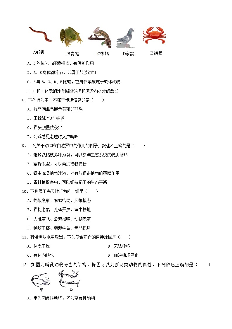 吉林省磐石市2021-2022 学年八年级上学期期中教学检测生物试题（word版 含答案）第2页