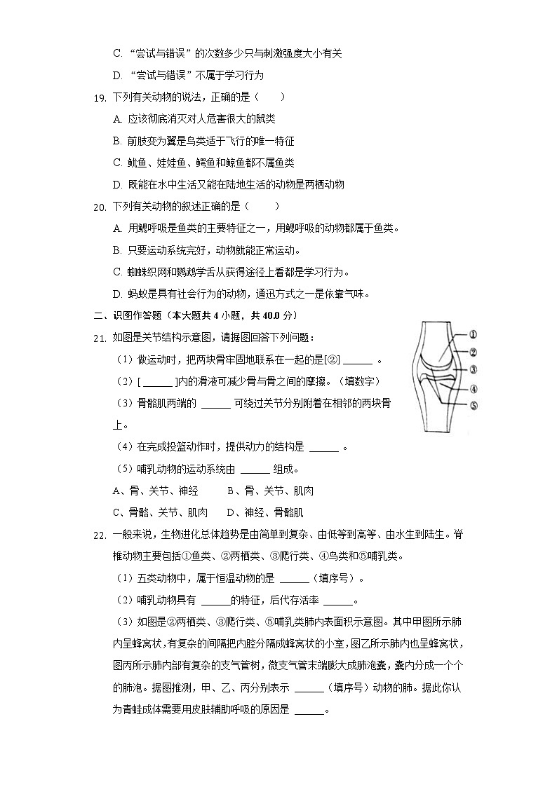 湖北省宜昌市第五中学2021-2022学年八年级上学期期中检测生物试题（word版 含答案）第3页