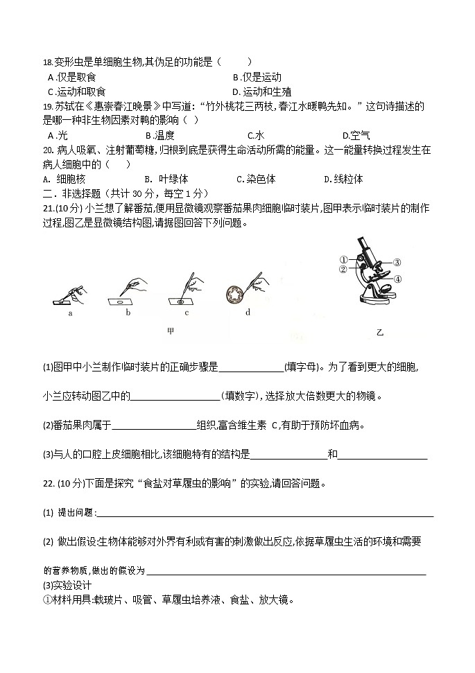 辽宁省朝阳市第七中学2021-2022学年上学期七年级期中考试生物【试卷+答案】03