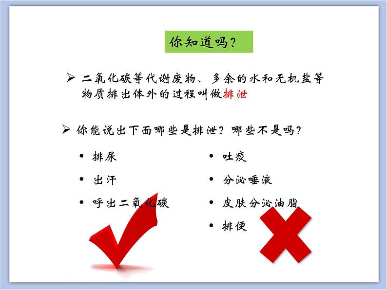 《尿液的形成和排出》第一课时课件05