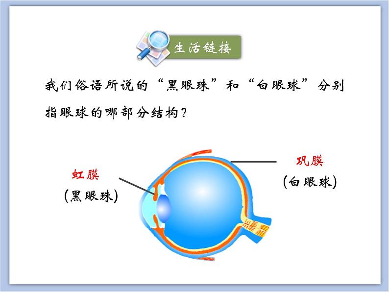 《人体对周围世界的感知》第一课时课件08