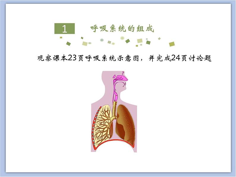 《人体与外界的气体交换》第一课时课件+素材05