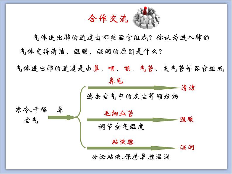 《人体与外界的气体交换》第一课时课件+素材08