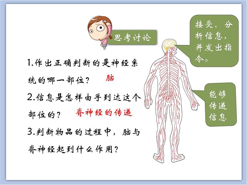 《神经调节的结构基础》第一课时课件07