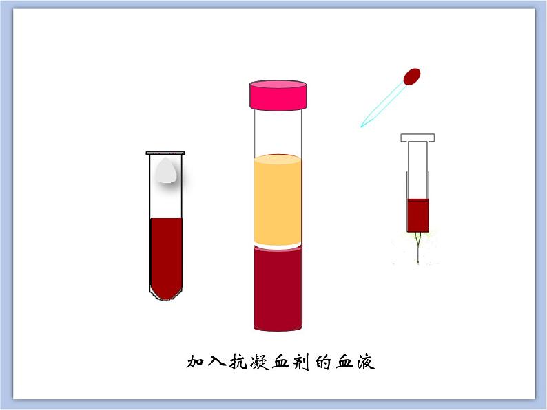 《物质运输的载体》第一课时课件+素材07