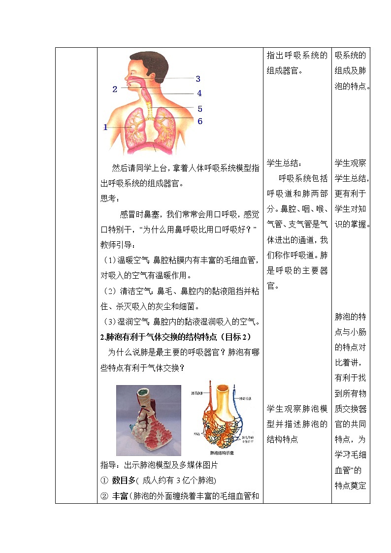 《人体与外界的气体交换》第1课时教案03