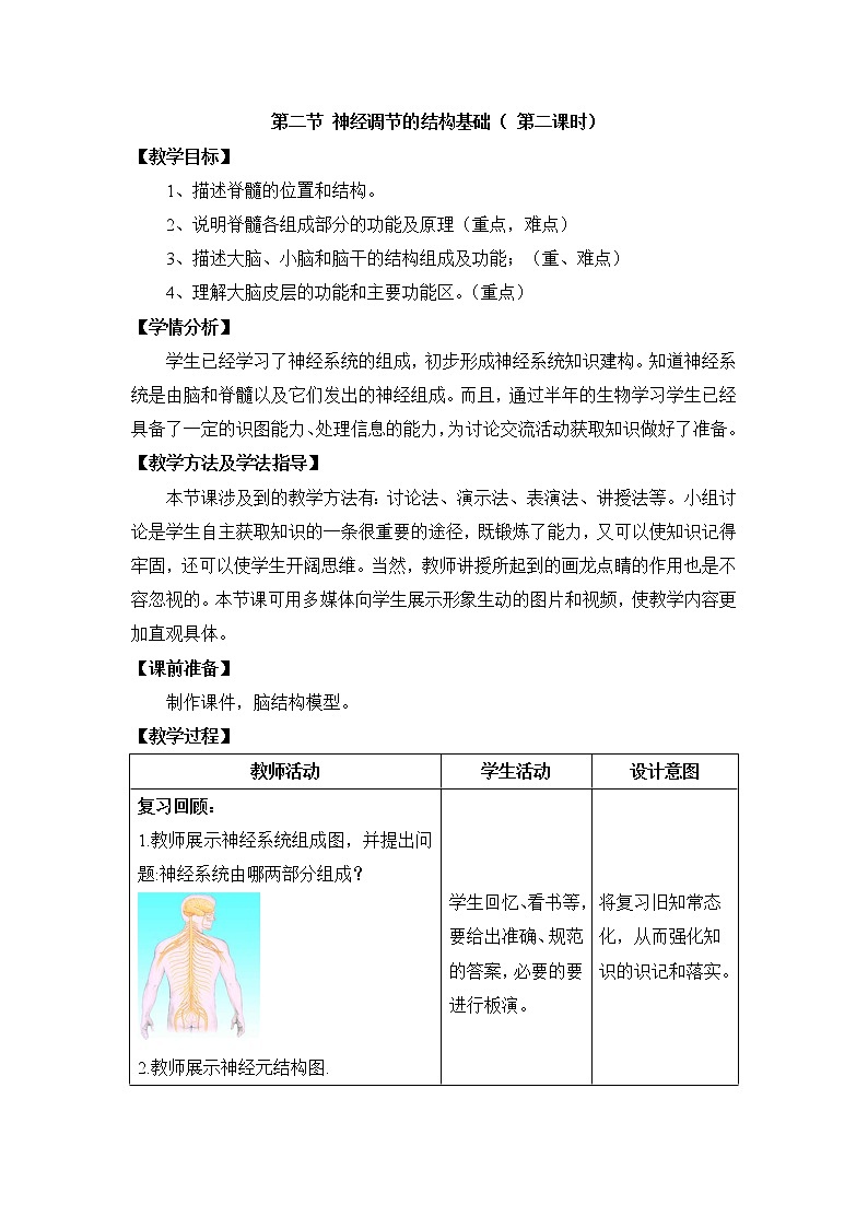 《神经调节的结构基础》第二课时教案01