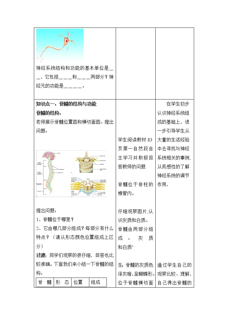 《神经调节的结构基础》第二课时教案02