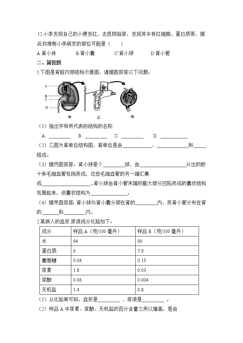 《尿液的形成和排出》同步练习02