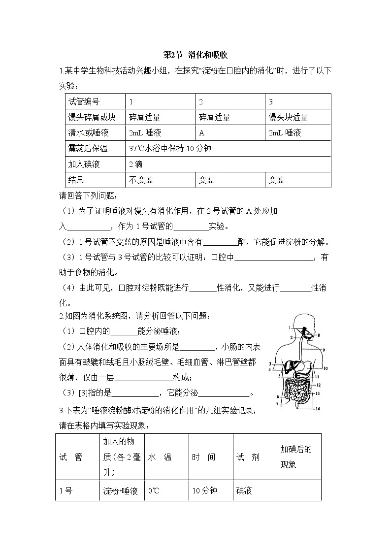 《消化和吸收》随堂练习01