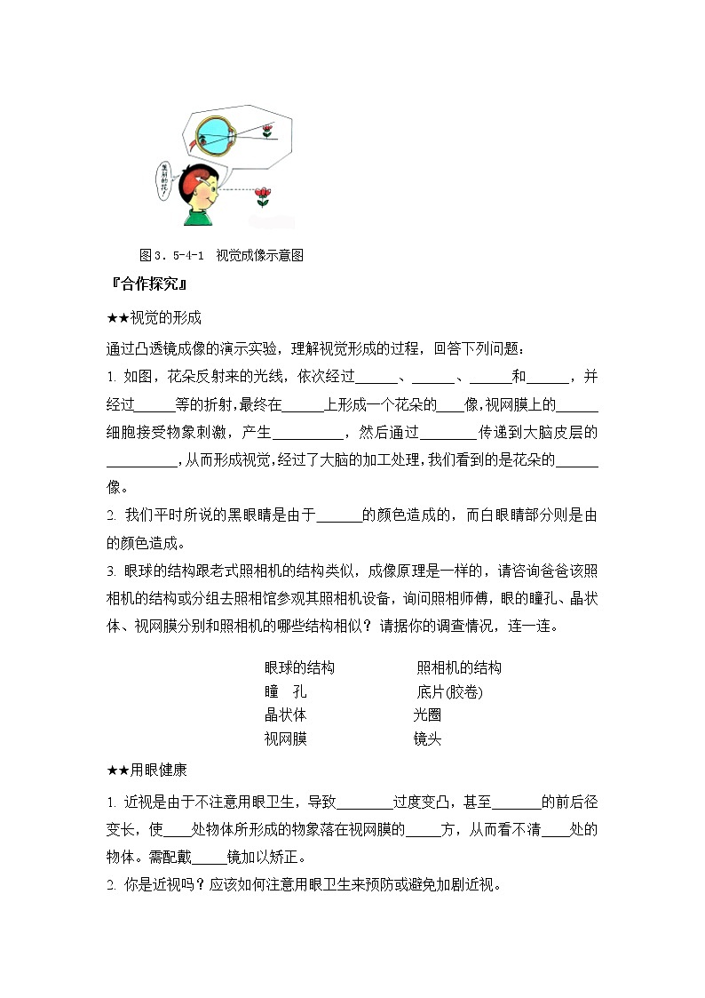 《人体对周围世界的感知》导学案02