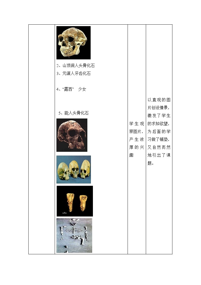 《人类的进化》教案03
