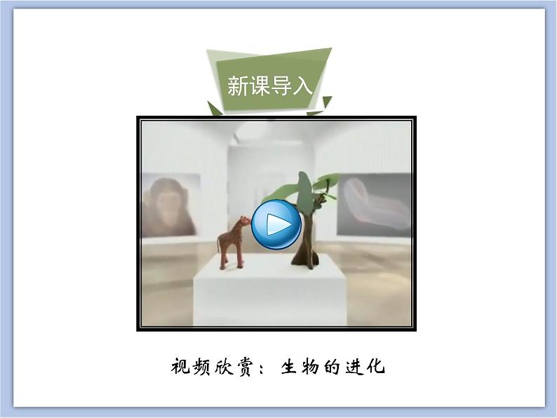 生物济南版初中8年级下册 《生物进化的原因》课件+素材03
