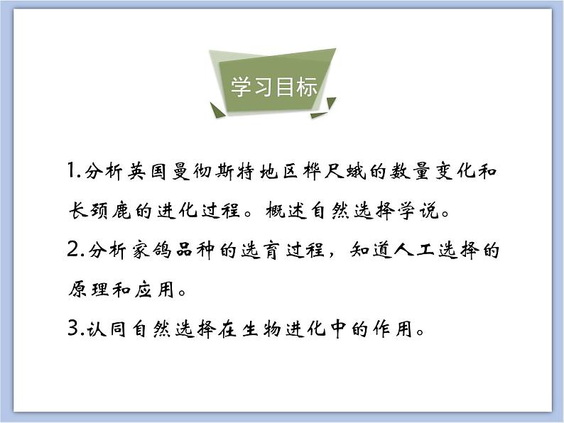 生物济南版初中8年级下册 《生物进化的原因》课件+素材04