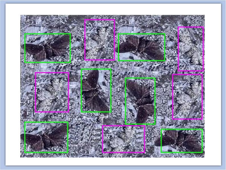 生物济南版初中8年级下册 《生物进化的原因》课件+素材07