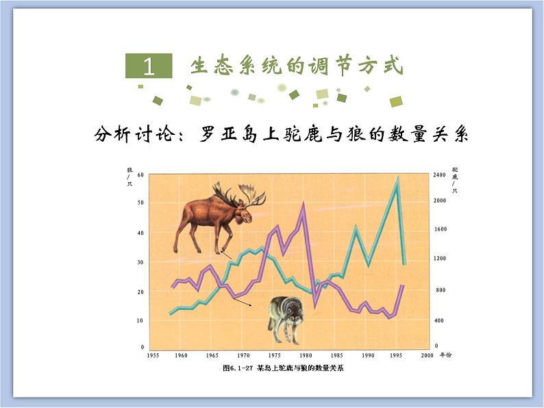 《生态系统的自我调节》课件05