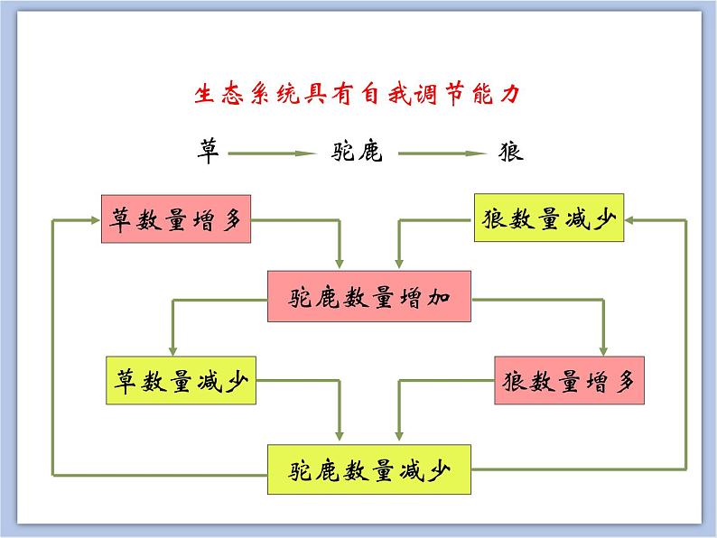 《生态系统的自我调节》课件07