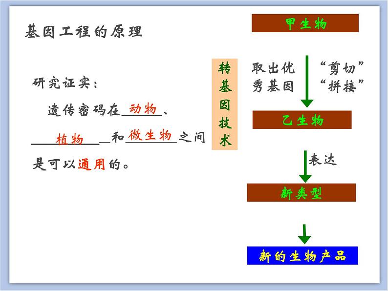 《基因工程》课件06