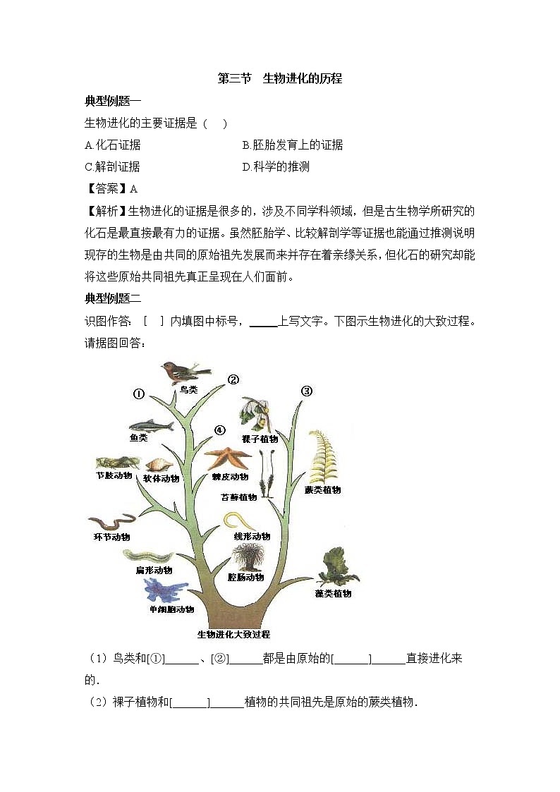 《生物进化的历程》例题解析第1页