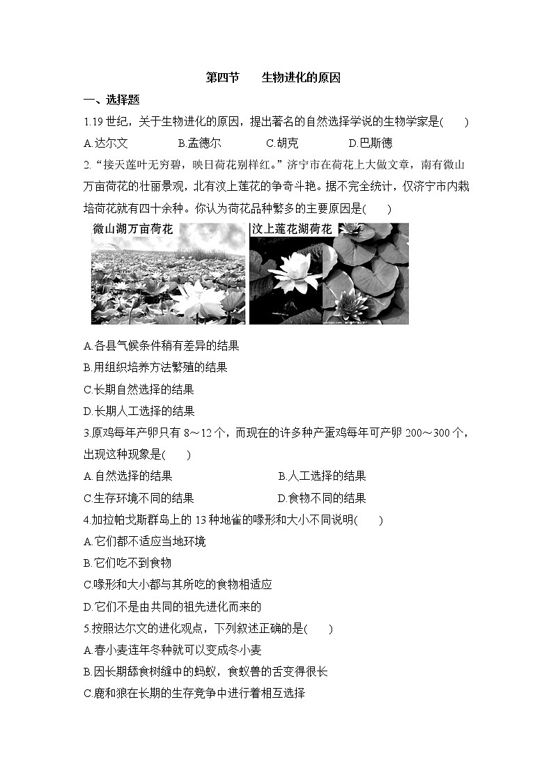 《生物进化的原因》同步练习201