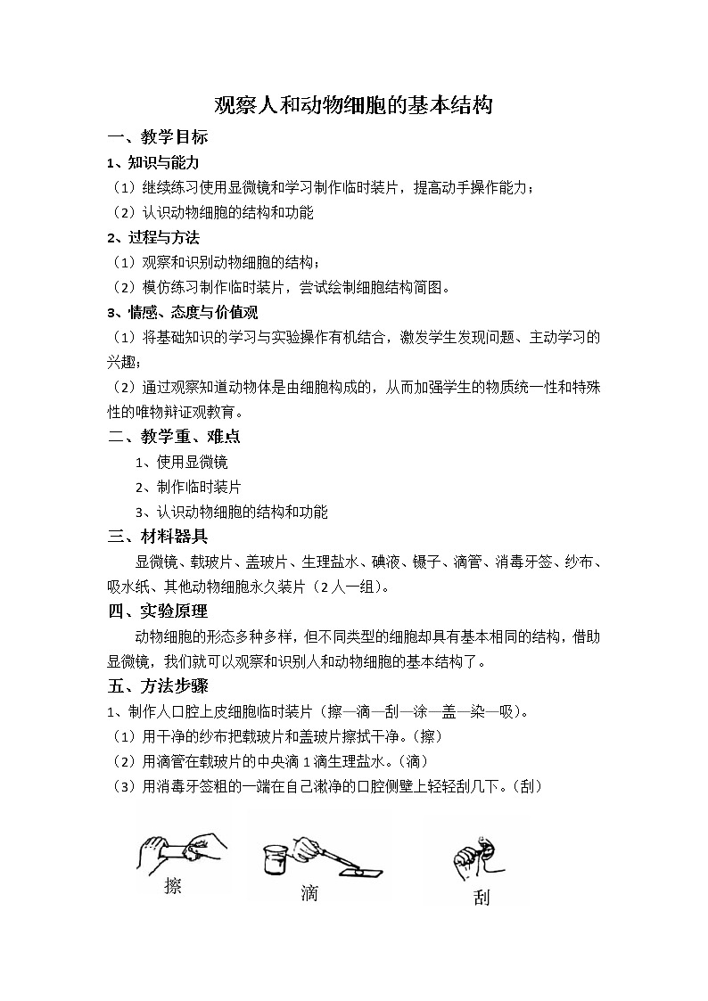 北师大版生物七年级上册 3.1  细胞的基本结构和功能(1)（教案）第1页