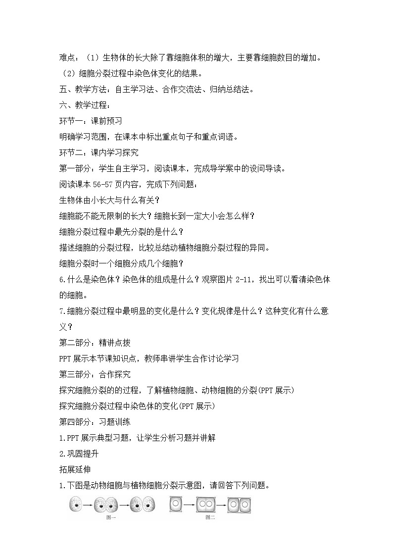 北师大版生物七年级上册 3.3   细胞通过分裂而增殖（教案）第2页