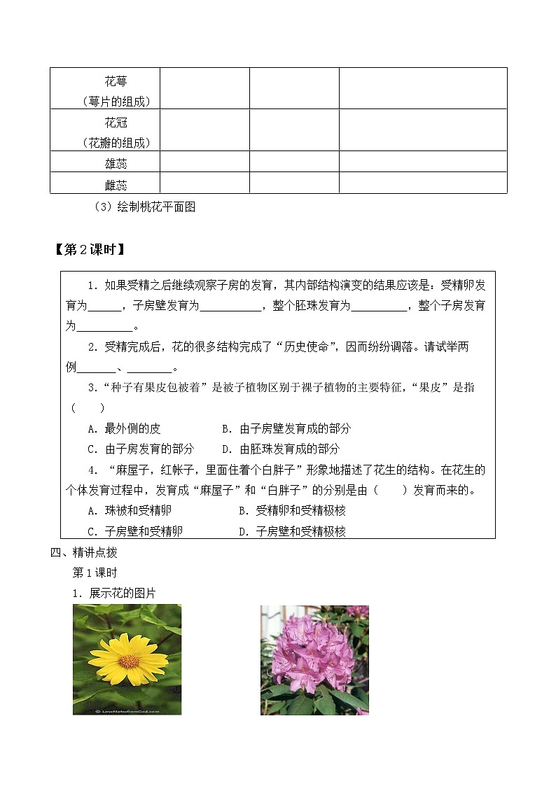 北师大版生物七年级上册 6.3 生殖器官的生长_（教案）第3页