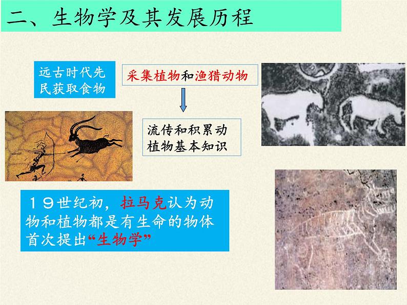 北师大版生物七年级上册 2.1 生物学是探索生命的科学（课件）07