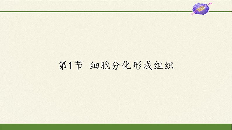 北师大版生物七年级上册 4.1  细胞分化形成组织(8)（课件）01