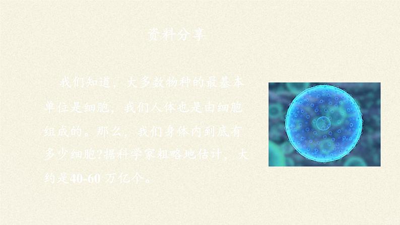 北师大版生物七年级上册 4.1  细胞分化形成组织(8)（课件）04