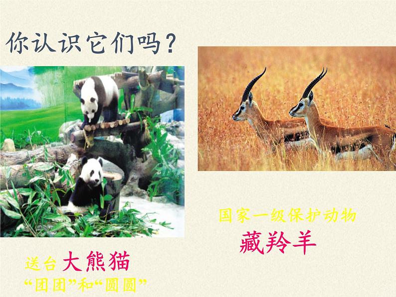 北师大版生物七年级上册 1.1   形形色色的生物（课件）02