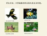 北师大版生物七年级上册 1.1   形形色色的生物（课件）