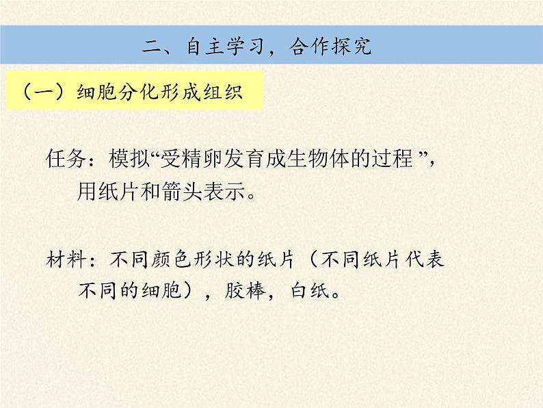 北师大版生物七年级上册 4.1  细胞分化形成组织(7)（课件）第4页