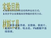 北师大版生物七年级上册 3.2 细胞是生命活动的单位_（课件）